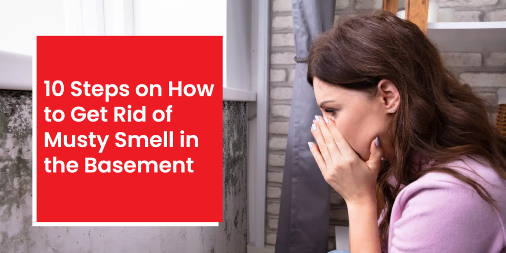 How to Get Rid of Musty Smell in the Basement